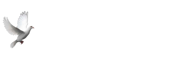 Jesus Christ In Action